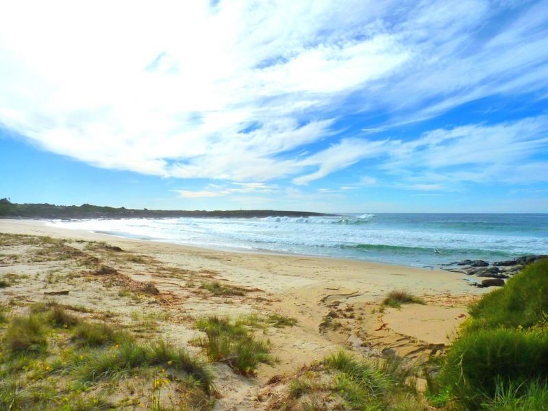 19 Harrington Crescent, Bawley Point NSW 2539