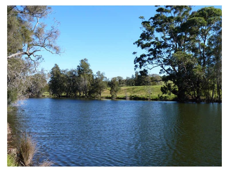 Lot 107 Wilfords Lane, Milton NSW 2538