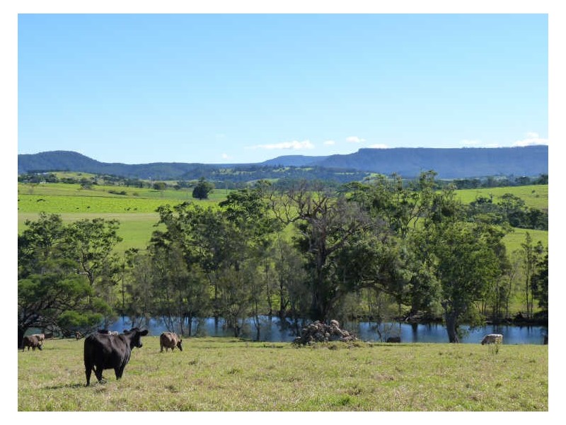Lot 107 Wilfords Lane, Milton NSW 2538