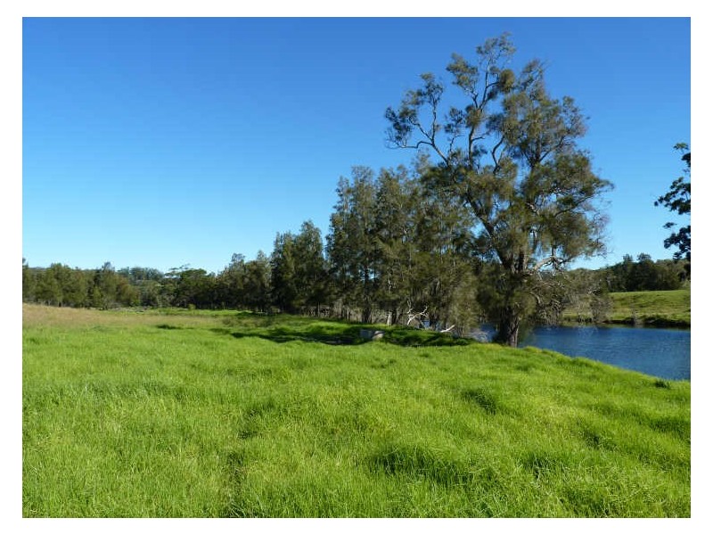 Lot 107 Wilfords Lane, Milton NSW 2538