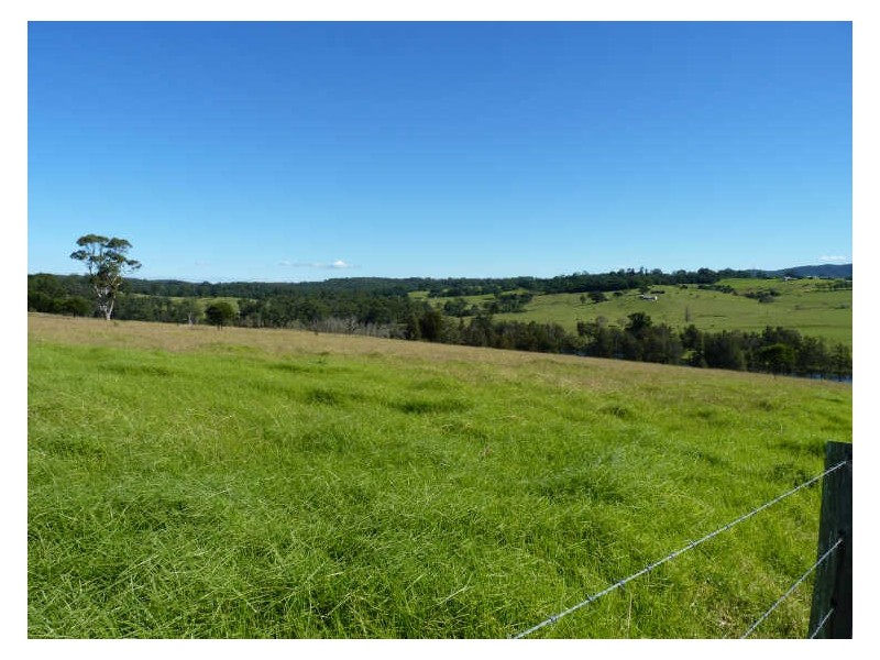 Lot 107 Wilfords Lane, Milton NSW 2538