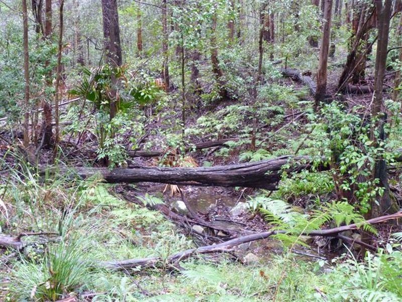 Lot 24/46 & 48 Princes Highway, Termeil NSW 2539