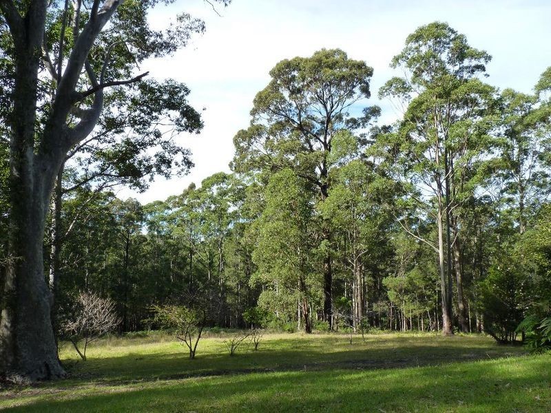 Lot 24/46 & 48 Princes Highway, Termeil NSW 2539