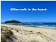 17 Beach Street, Lake Tabourie NSW 2539
