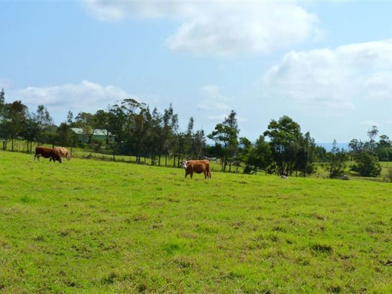 199A Garrads Lane, Milton NSW 2538