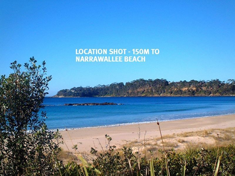 65 Matron Porter Drive, Narrawallee NSW 2539