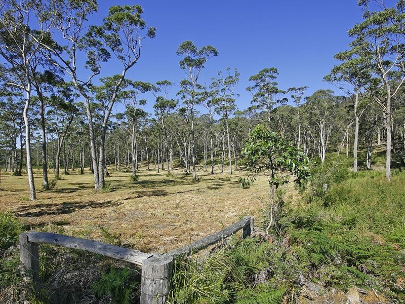 Lot 532 Bawley Point Road, Bawley Point NSW 2539