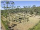 Lot 532 Bawley Point Road, Bawley Point NSW 2539
