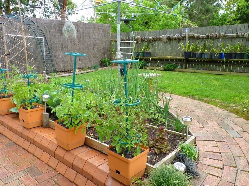 68 Church Street, Milton NSW 2538