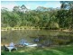 279D Kingiman Road, Milton NSW 2538