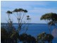 73 Bannister Head Road, Mollymook NSW 2539