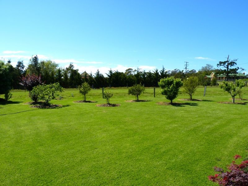 64 Wilfords Lane, Milton NSW 2538