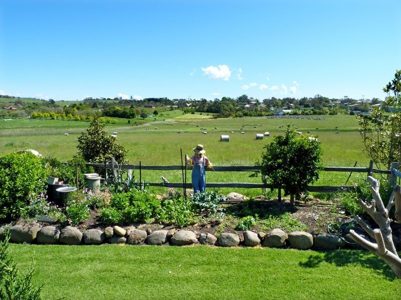 64 Wilfords Lane, Milton NSW 2538