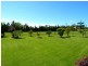 64 Wilfords Lane, Milton NSW 2538