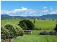 64 Wilfords Lane, Milton NSW 2538