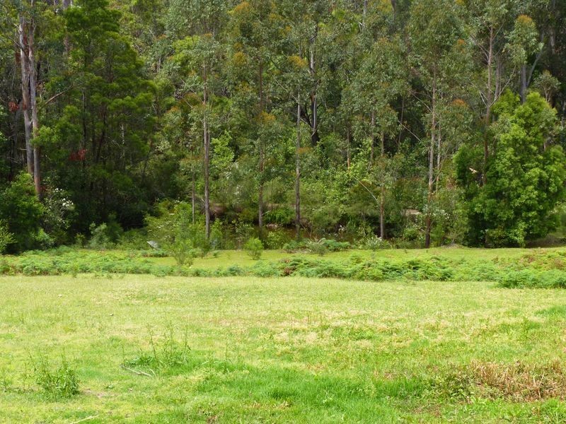 239A Evans Lane, Milton NSW 2538