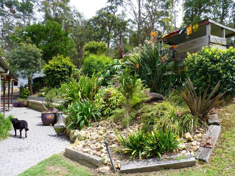 239A Evans Lane, Milton NSW 2538