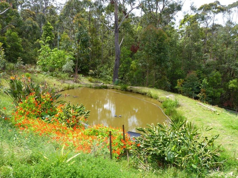 239A Evans Lane, Milton NSW 2538