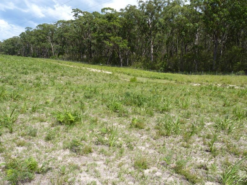 39 Pebbly Beach Road, East Lynne NSW 2536