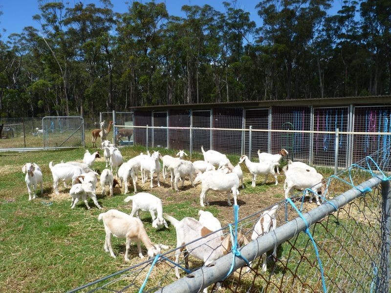 39 Pebbly Beach Road, East Lynne NSW 2536