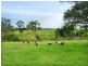 626 Croobyar Road, Milton NSW 2538