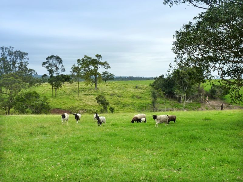 626 Croobyar Road, Milton NSW 2538