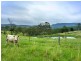 626 Croobyar Road, Milton NSW 2538