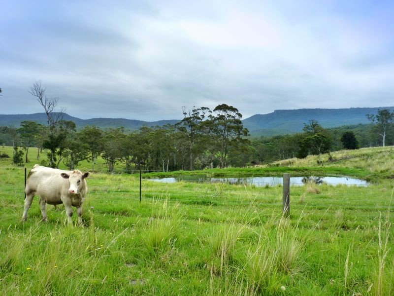 626 Croobyar Road, Milton NSW 2538