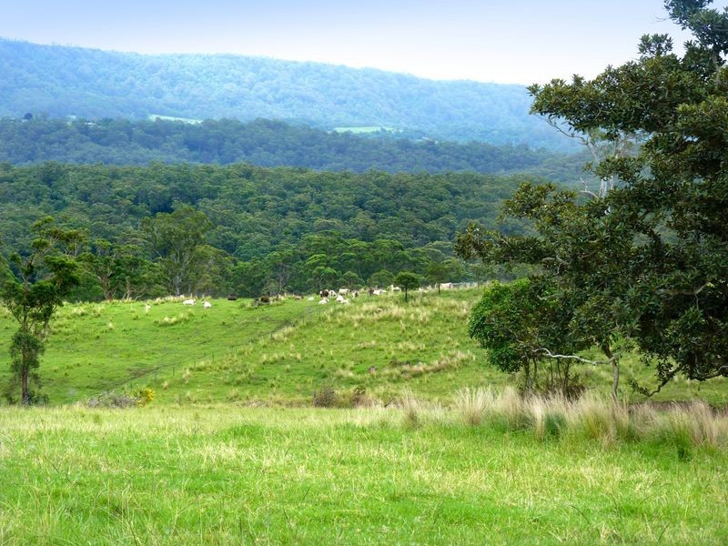 626 Croobyar Road, Milton NSW 2538