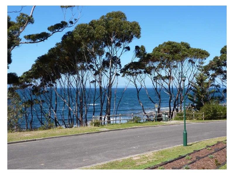 16 Shipton Cres, Mollymook NSW 2539