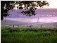 34 Hobbs Lane, Milton NSW 2538