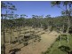 Lot 532 Bawley Point Road, Bawley Point NSW 2539