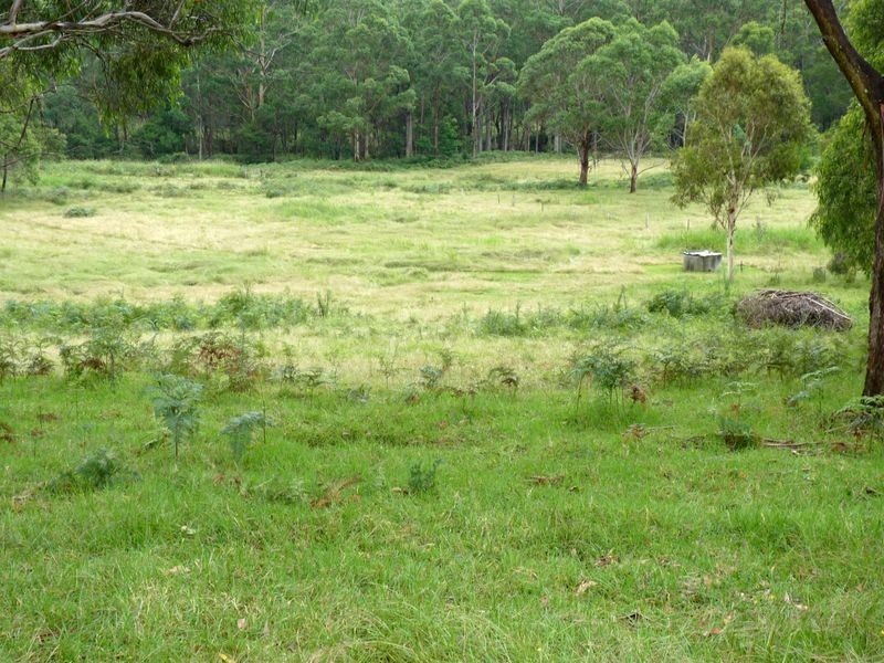 91 Bawley Point Road, Termeil NSW 2539