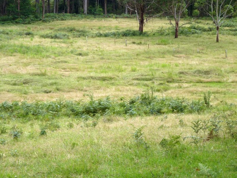 91 Bawley Point Road, Termeil NSW 2539