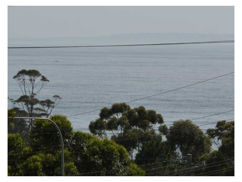 31 Princes Highway, Ulladulla NSW 2539
