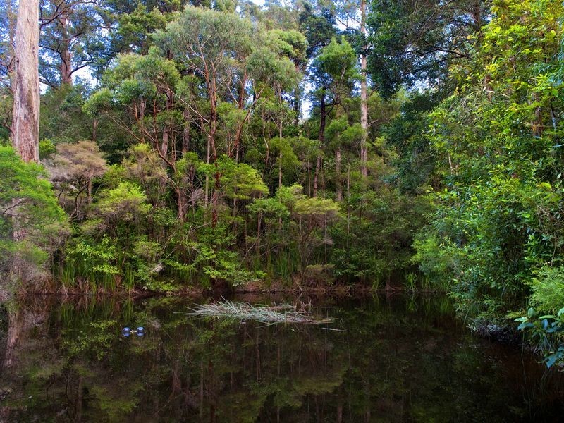 680A Little Forest Road, Milton NSW 2538