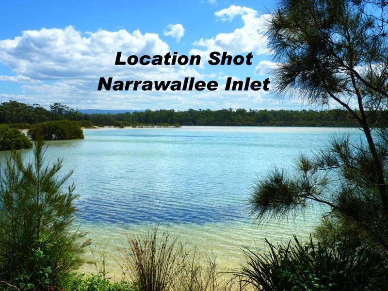 116 Leo Drive, Narrawallee NSW 2539