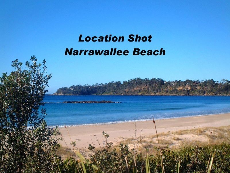 116 Leo Drive, Narrawallee NSW 2539