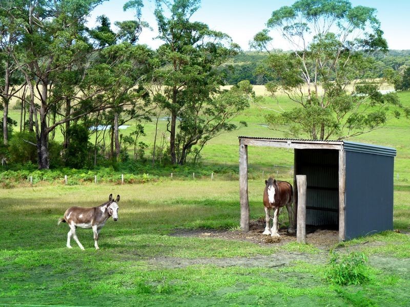 250B Garrads Lane, Milton NSW 2538