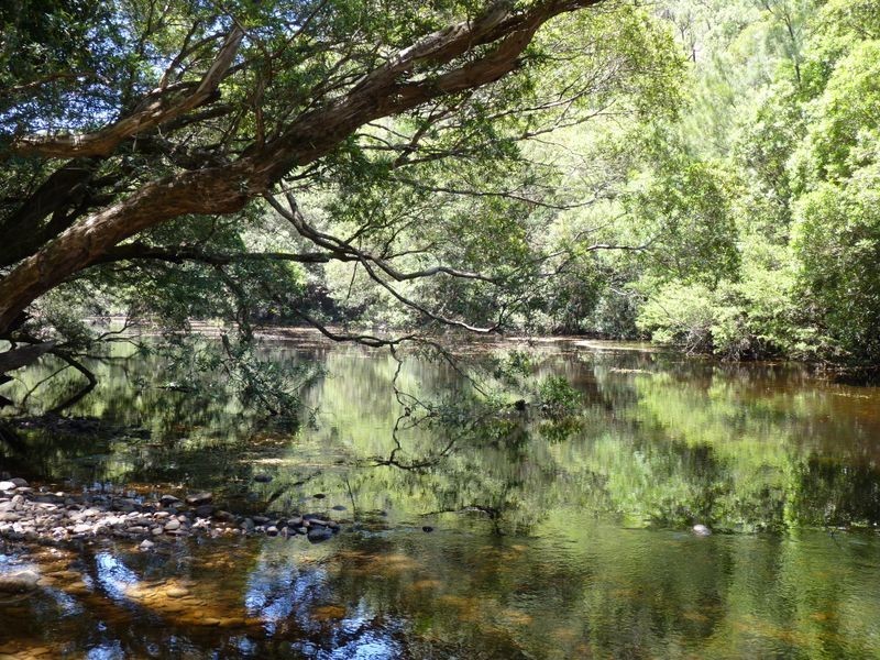210 Barren Ridge Road, Milton NSW 2538