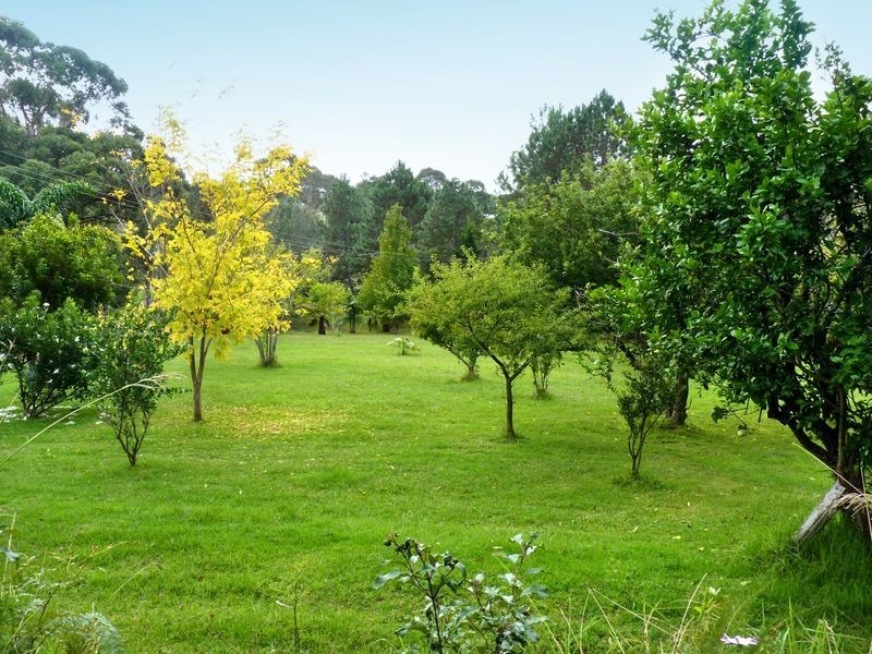 Lot 1/ 12 Weemala Crescent, Bawley Point NSW 2539