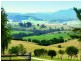 193 Wilfords Lane, Milton NSW 2538