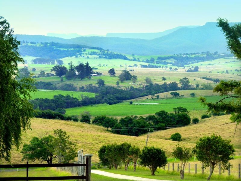 193 Wilfords Lane, Milton NSW 2538