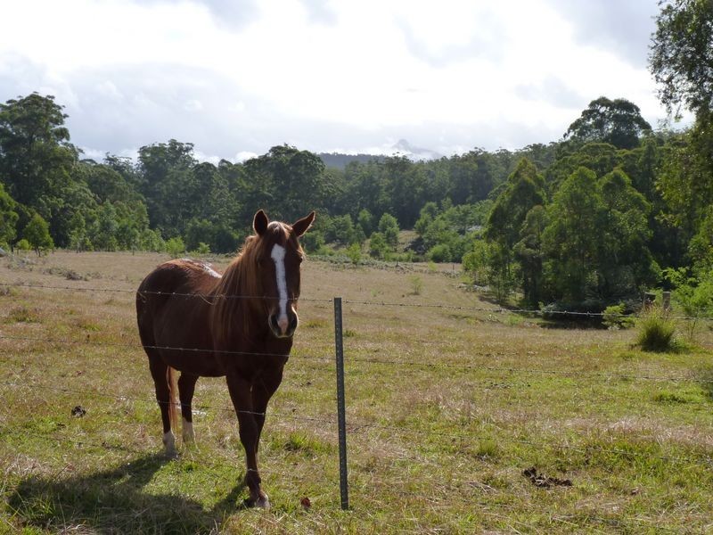 1075 Brooman Road, Milton NSW 2538