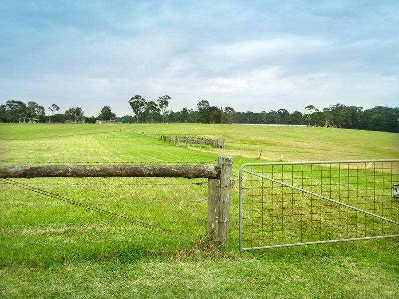 193 Wilfords Lane, Milton NSW 2538