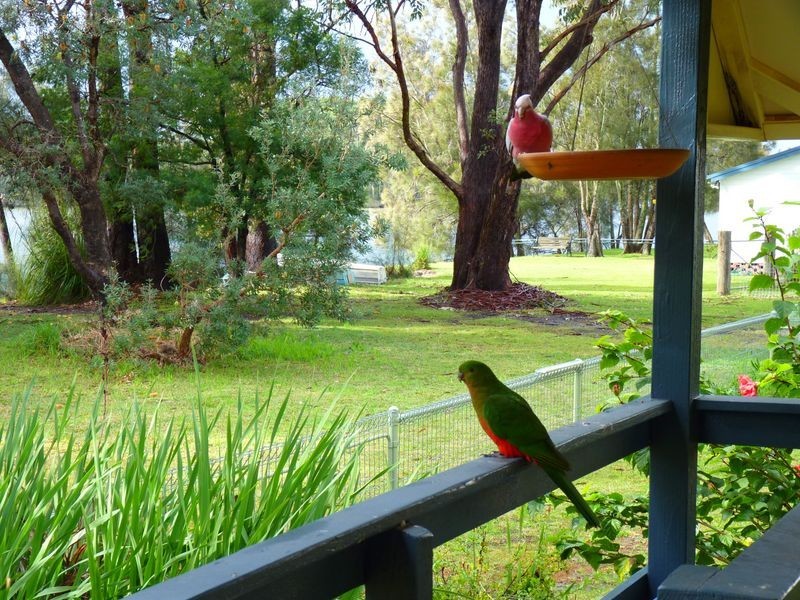 33 Edwin Avenue, Lake Conjola NSW 2539