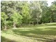 56 Carisbrook Fire Road, Milton NSW 2538