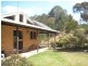 56 Carisbrook Fire Road, Milton NSW 2538
