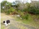 Lot 3/ 12 Weemala Crescent, Bawley Point NSW 2539