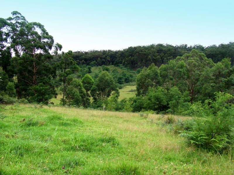 1075 Brooman Road, Milton NSW 2538